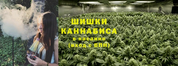 герыч Мегион