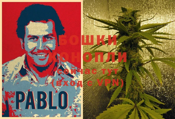 герыч Мегион