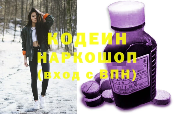 герыч Мегион